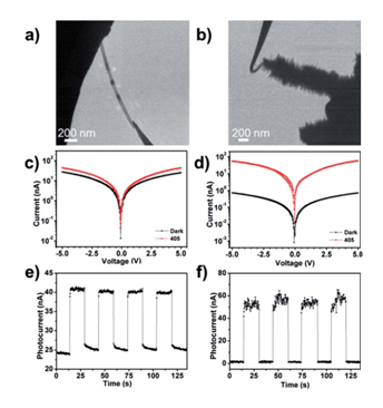 圖4：（a）（b）分別對應(yīng)CdS納米帶和CdS/ZnO異質(zhì)結(jié)安置在原位光學(xué)-光纖樣品桿中的TEM圖像。（c）（d）分別對應(yīng)CdS納米帶和CdS/ZnO異質(zhì)結(jié)I-V曲線的開關(guān)特性。（e）（f）分別對應(yīng)CdS納米帶和CdS/ZnO異質(zhì)結(jié)對周期性光信號的響應(yīng)特性。
