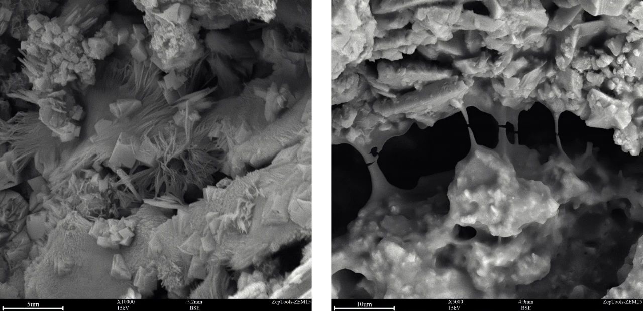 ZEM20臺式掃描電鏡在混凝土材料微觀結構及性能研究中的應用(圖7)