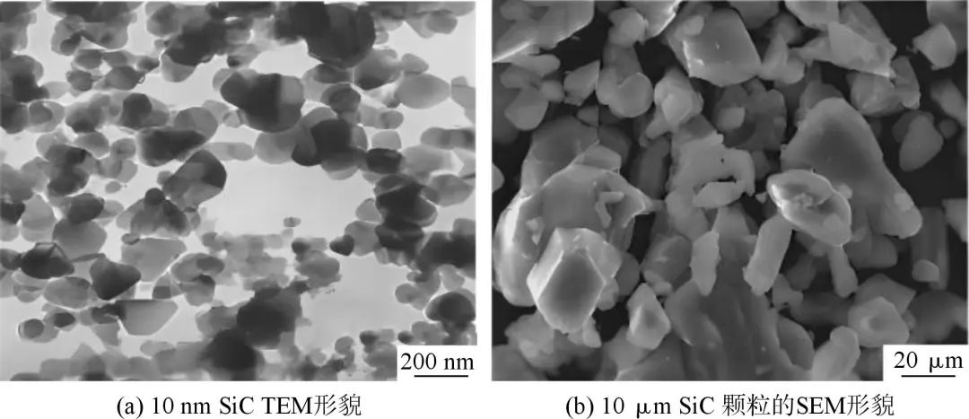  SiC顆粒的表面形貌