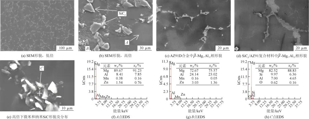 雙尺寸SiCp/AZ91復合材料的SEM顯微照片及成分分析