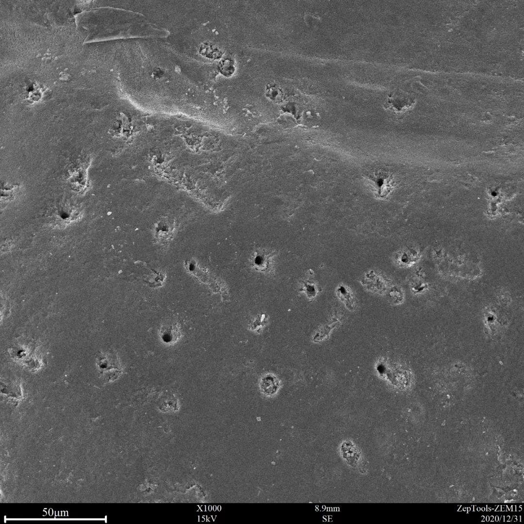 臺式掃描電鏡1000倍下可以看到一些孔洞結(jié)構(gòu)